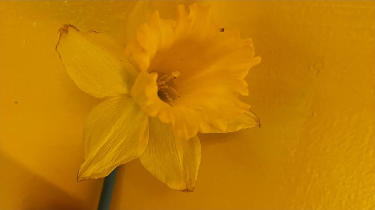 January–March 2022 at Hidden Groves